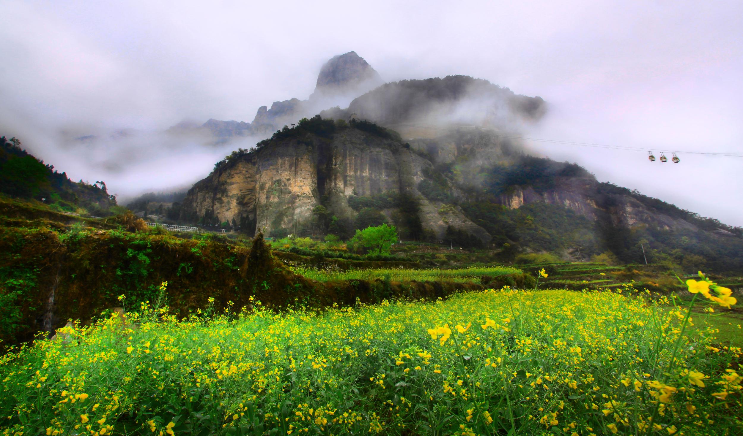 【我的微旅游】第九期:溫州十處小景