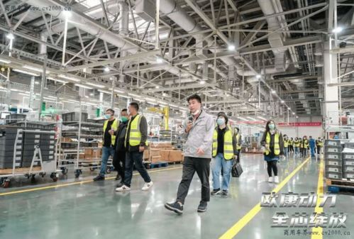 合規(guī)藍(lán)牌輕卡自主品牌發(fā)動機(jī)崛起 能否成為用戶首選動力及投資管理展望